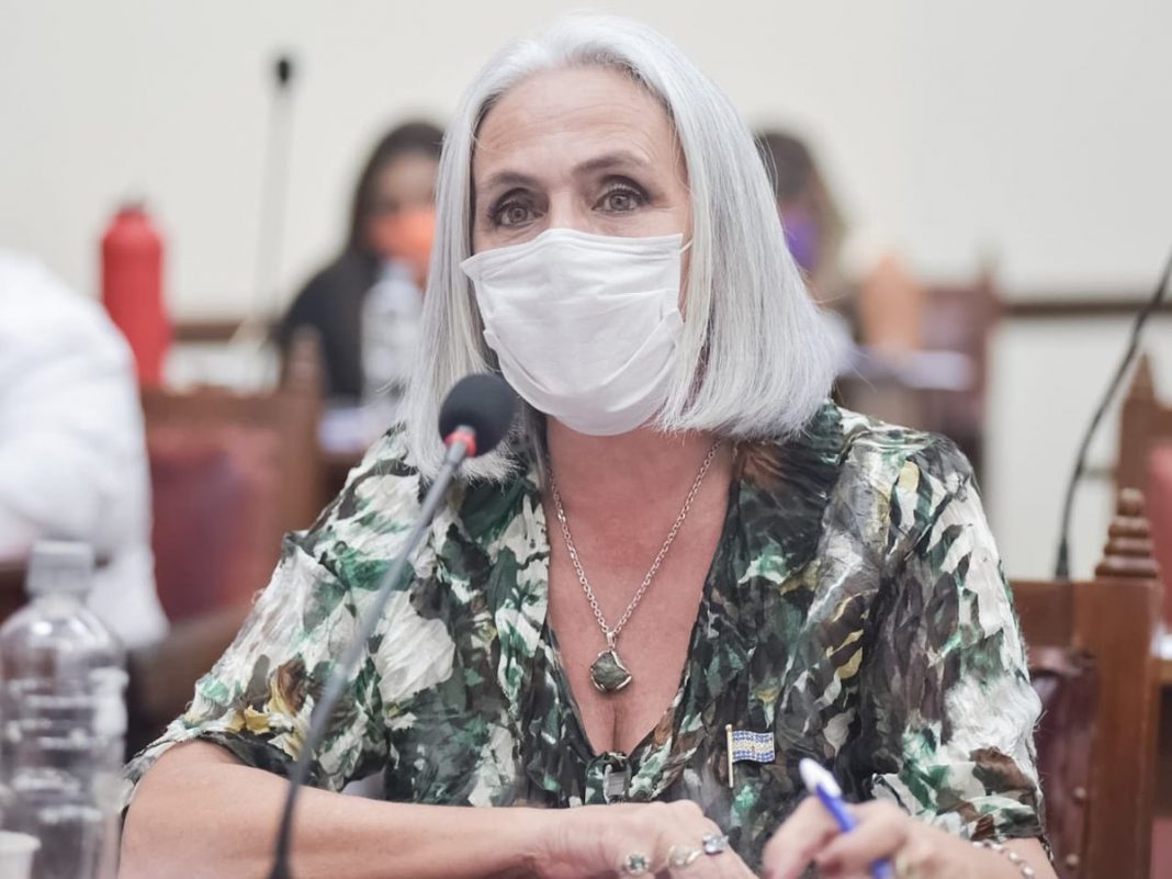 Susana Pontussi: “Hay que recuperar el espacio público y la legalidad” -  OPINORTE.com.ar