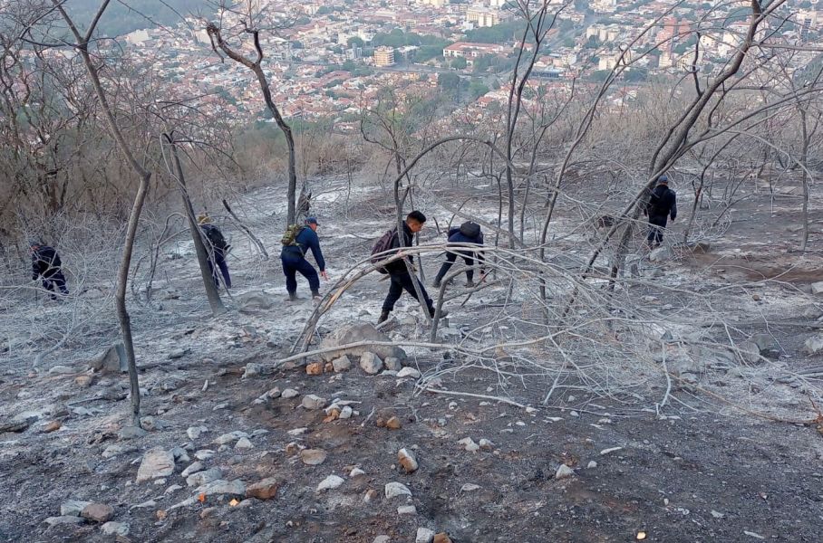 Tras una semana de combate, aseguran que el incendio en el Cerro está ...
